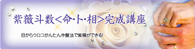 紫微斗数
