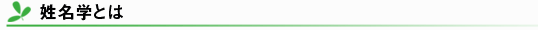 姓名学とは